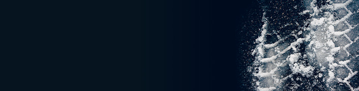 Winterfreude geschenkt