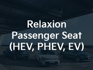 Kia Niro Relaxion Passenger Seat