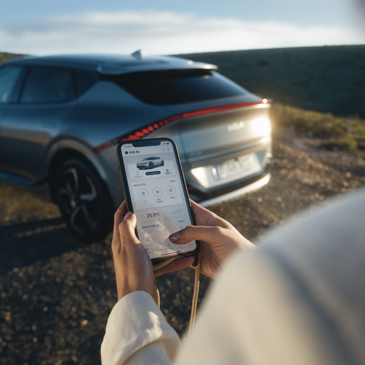 Auto auf Landstraße im Wald aus Vogelperspektive