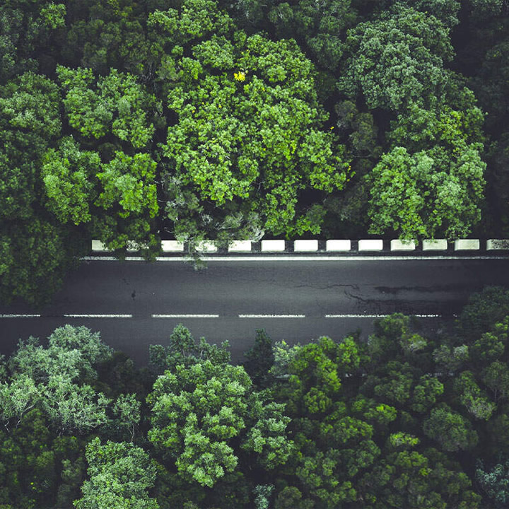 Auto auf Landstraße im Wald aus Vogelperspektive