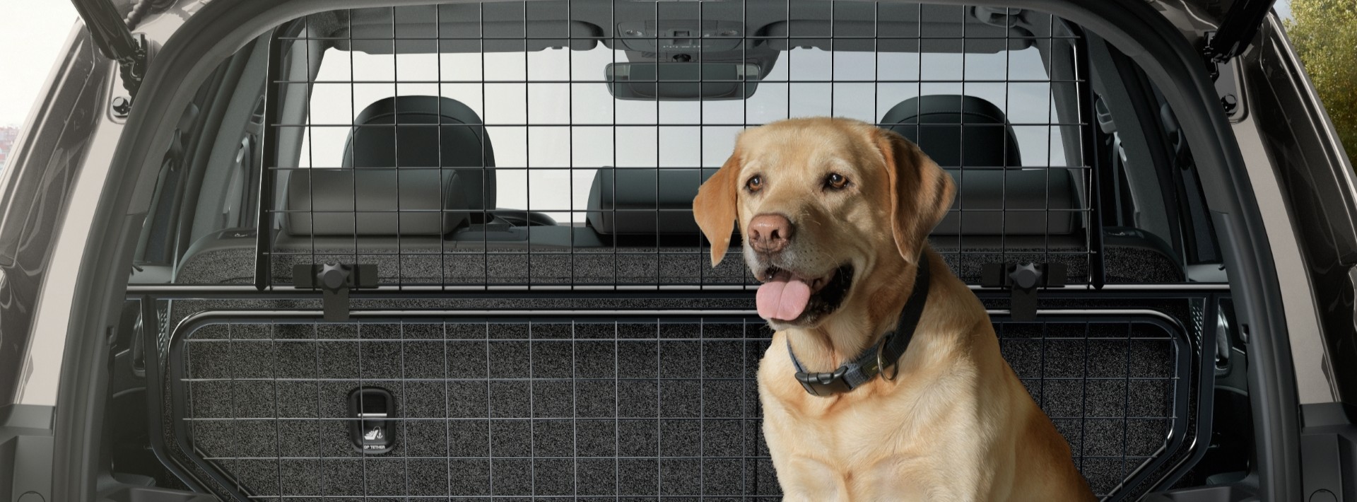Viajar con perros o animales