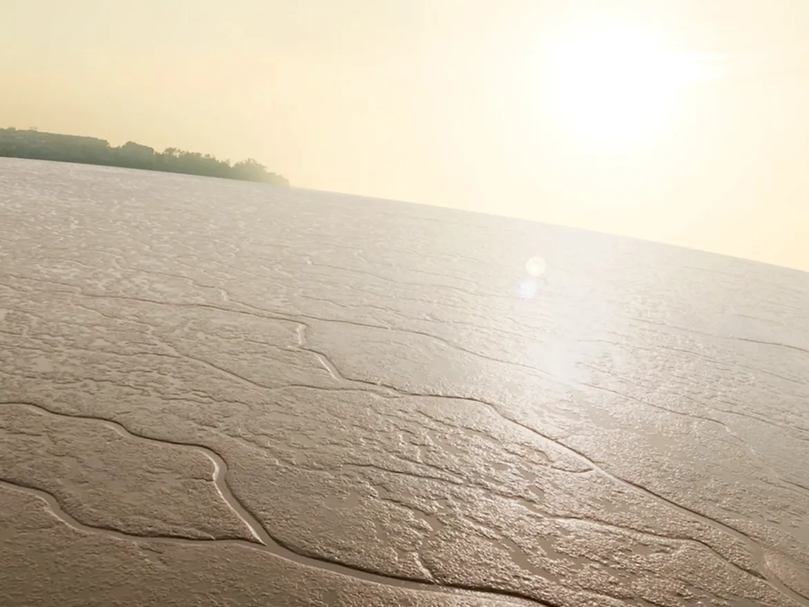 Sunlit tidal flat landscape