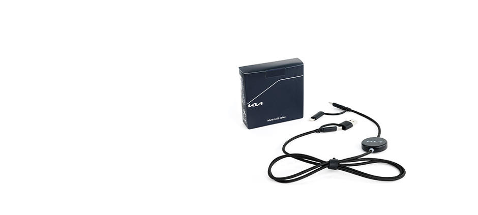 Kia multi-USB cable
