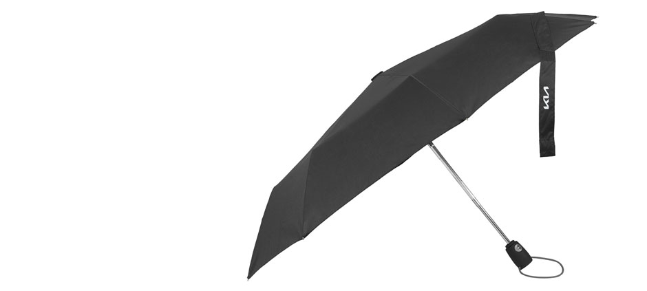 Pocket umbrella