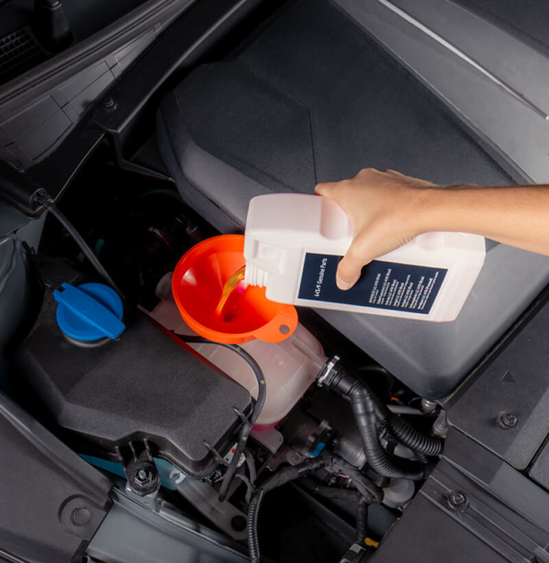 Kia-Techniker füllt Kia-Original-EV-Frostschutzmittel in ein Fahrzeug nach.