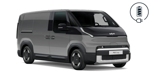 PV5 Cargo 4-ovinen