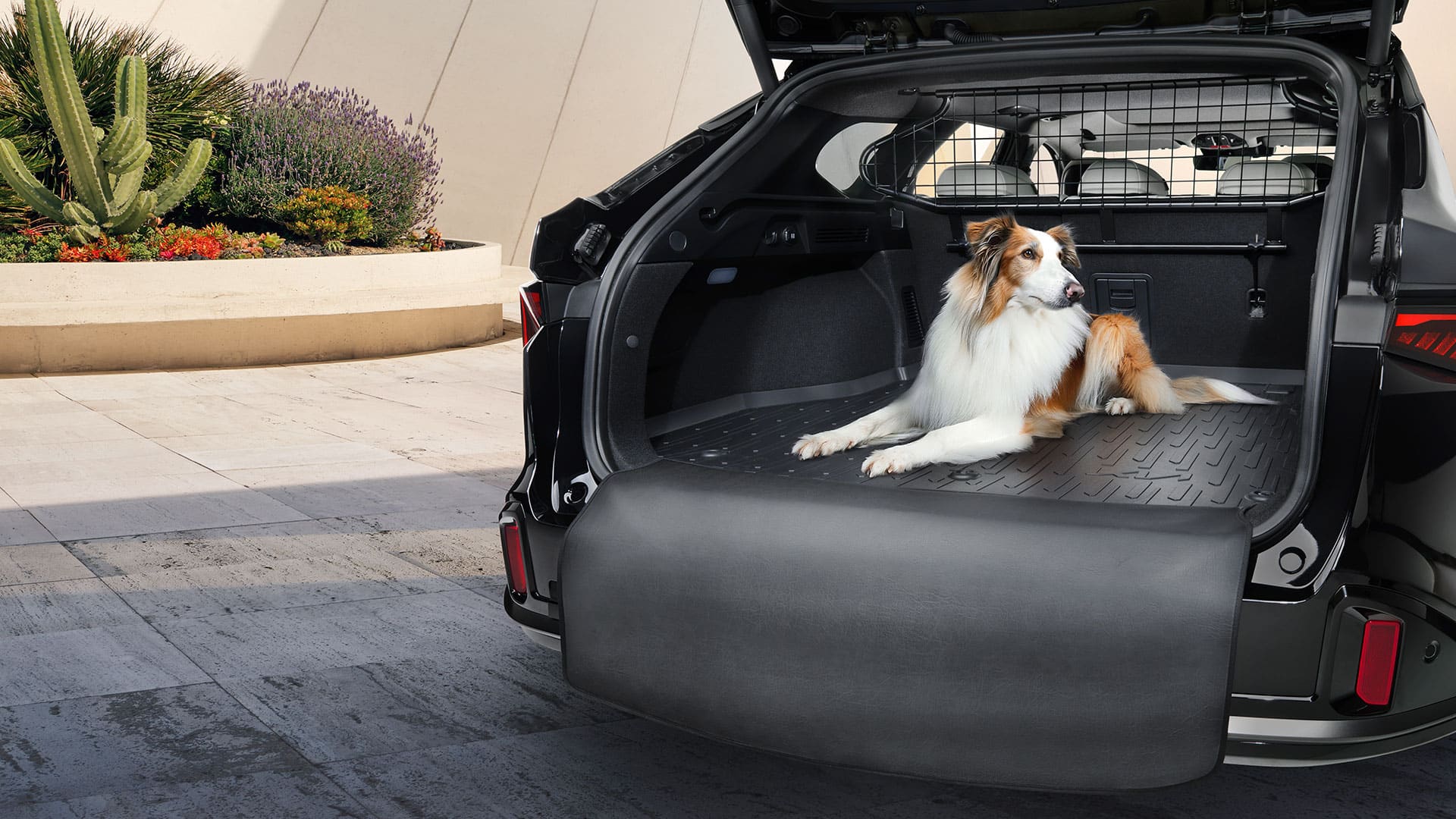 Kofferbakmat en bumper flap.