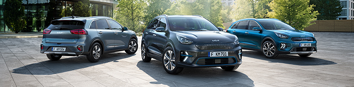 Kia business customers