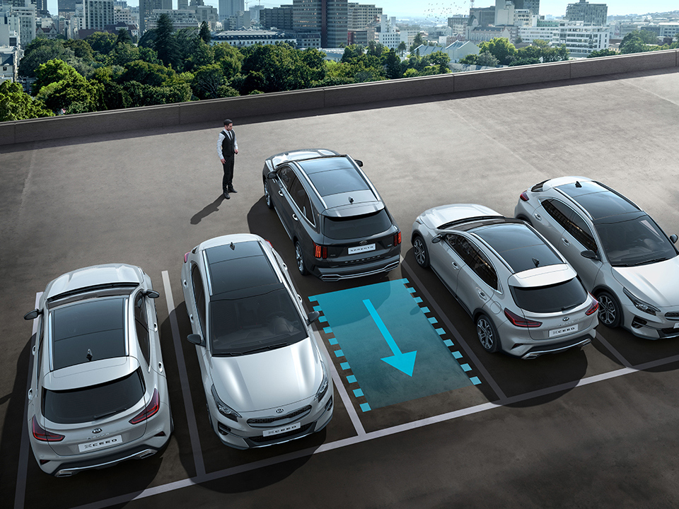 Remote Smart Parking Assist (RSPA)