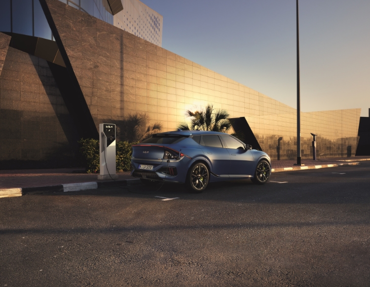 public-charge-gt-w - 1