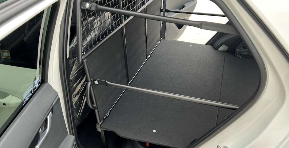 Niro EV VAN