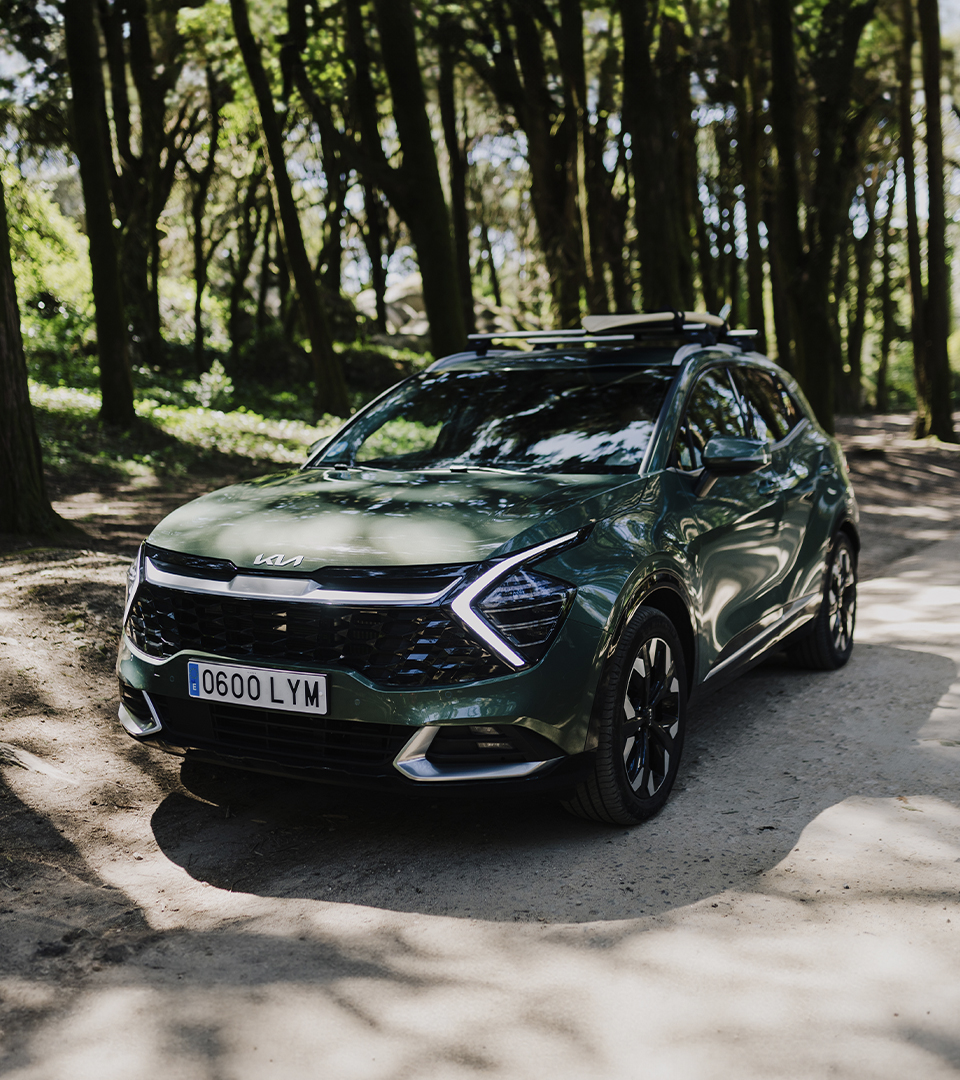 Polyola gallery image 4