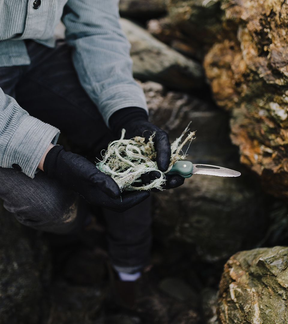 Waterhaul gallery image 2